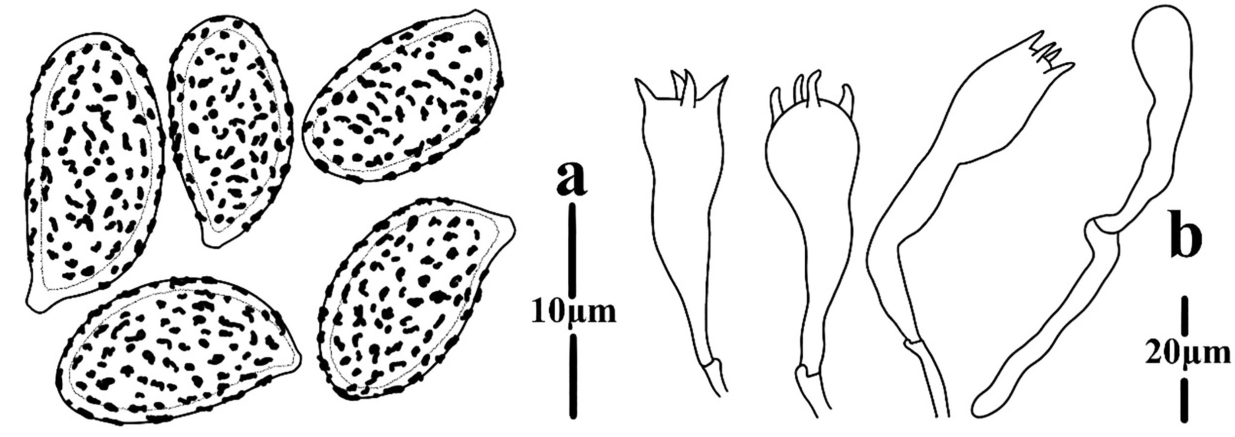 Figure 112